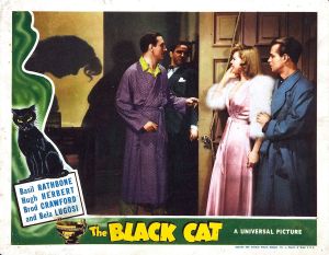 The Black Cat 2